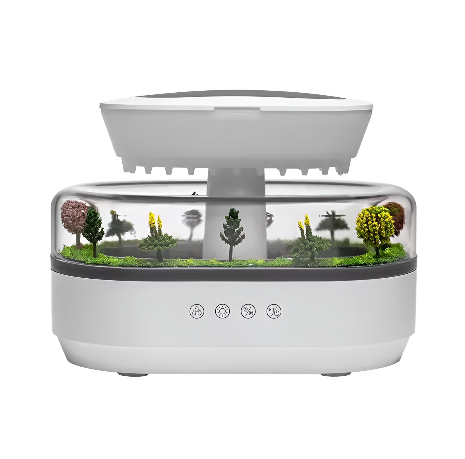 بخور جنگل بارونی